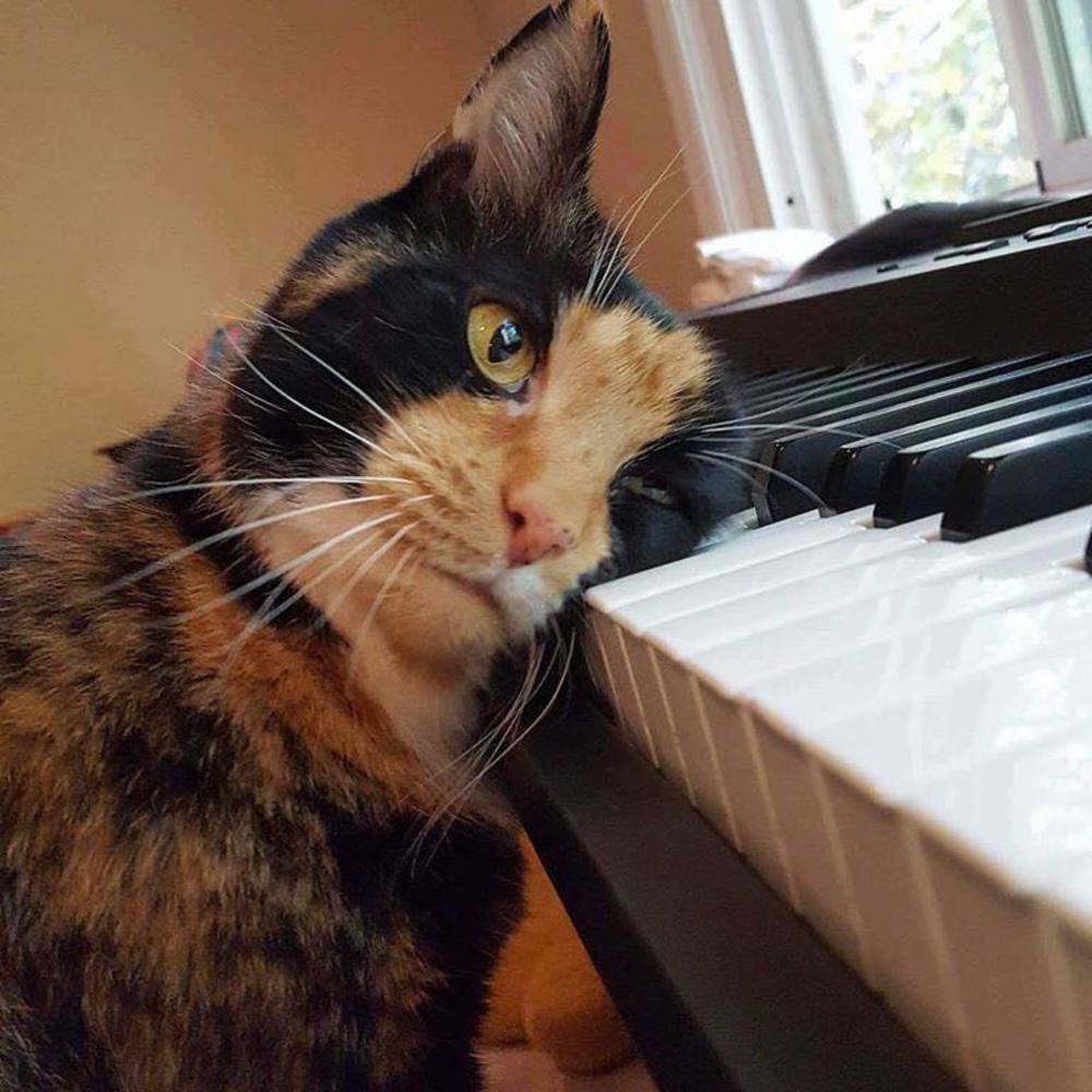 Meet your Posher, Mel